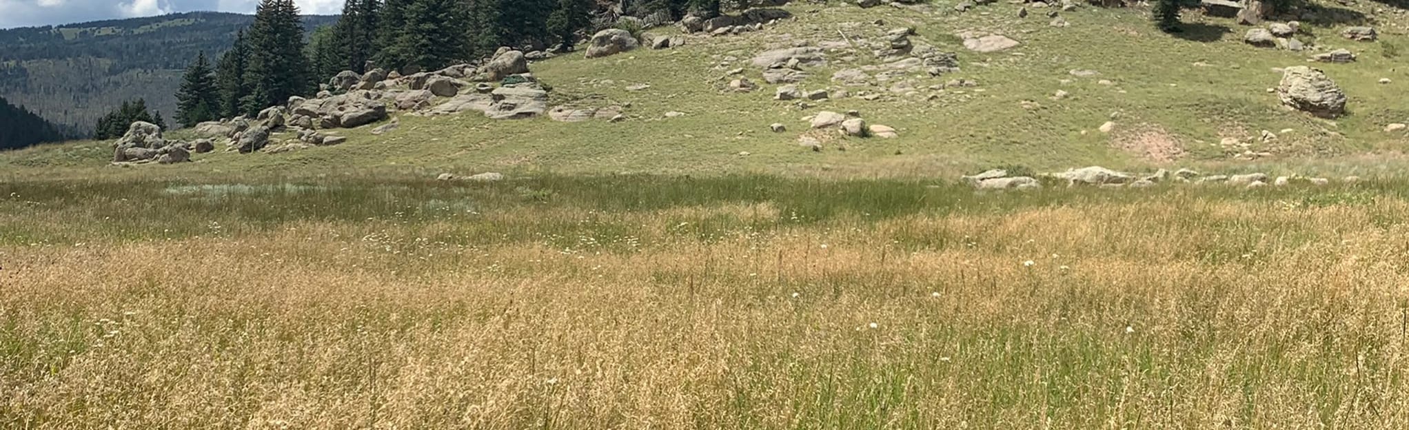 Cerro La Jara Loop Trail, New Mexico 214 Reviews, Map AllTrails