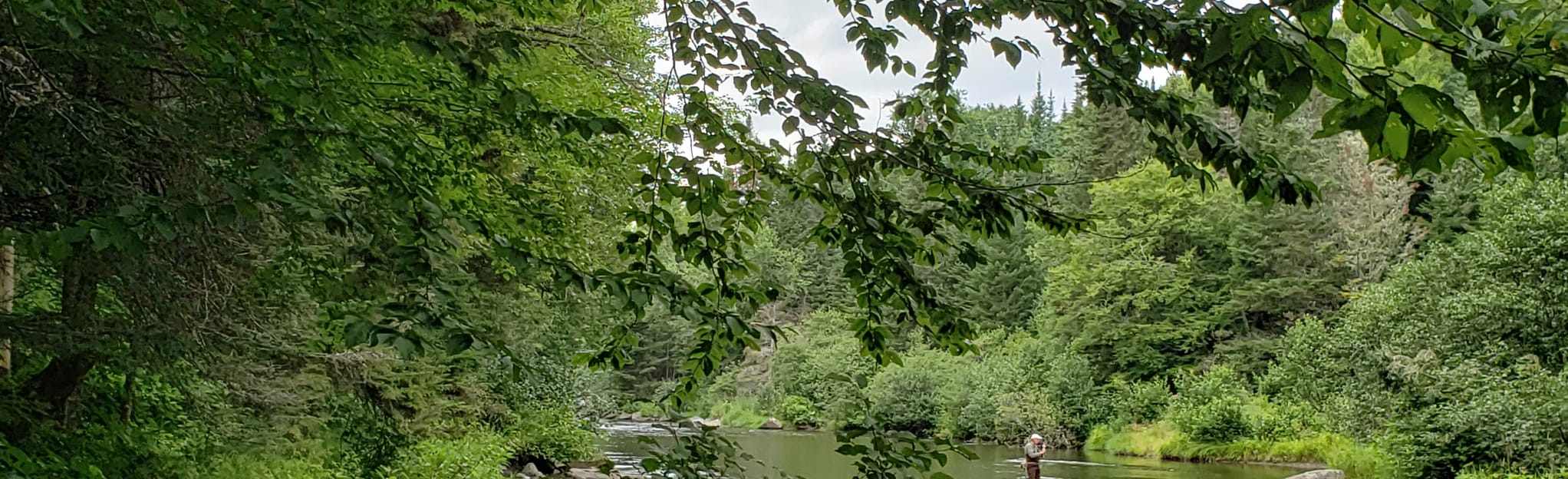 Lake Francis State Park River Trail New Hampshire AllTrails