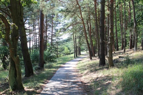 Müritz-Nationalpark Weg Etappe 4: Wesenberg - Fürstensee