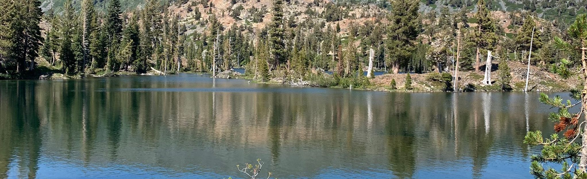 Glen Alpine Loop California AllTrails