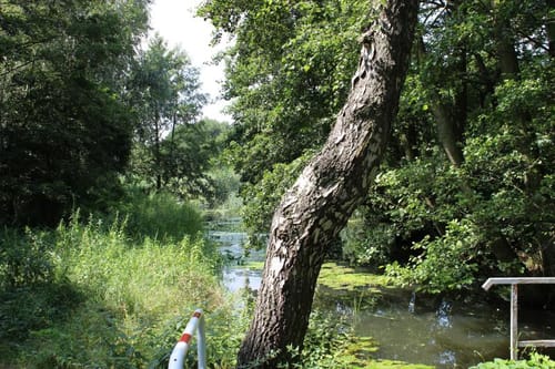 Heidenweg Biesenbrow