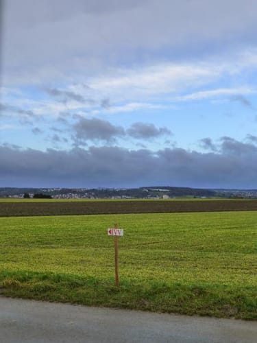 Von Riederich durch den Nollenwald