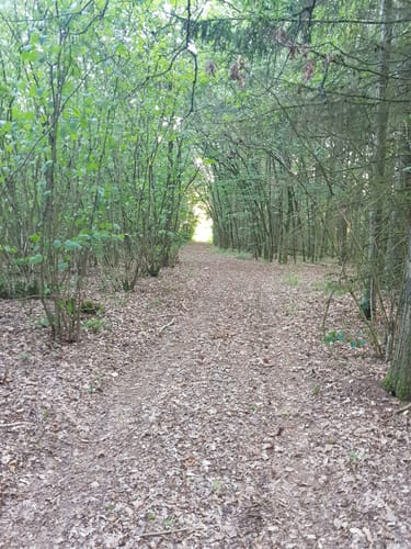 Waldwege Großbardorf