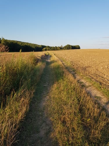 Waldwege Großbardorf