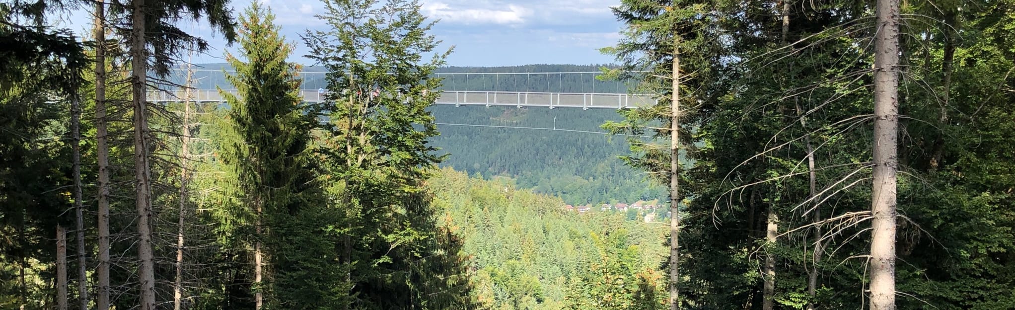 Wildline Suspension Bridge 45 Reviews, Map BadenWürttemberg