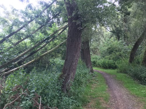 Durch den Wallensteingraben um den Mühlenteich