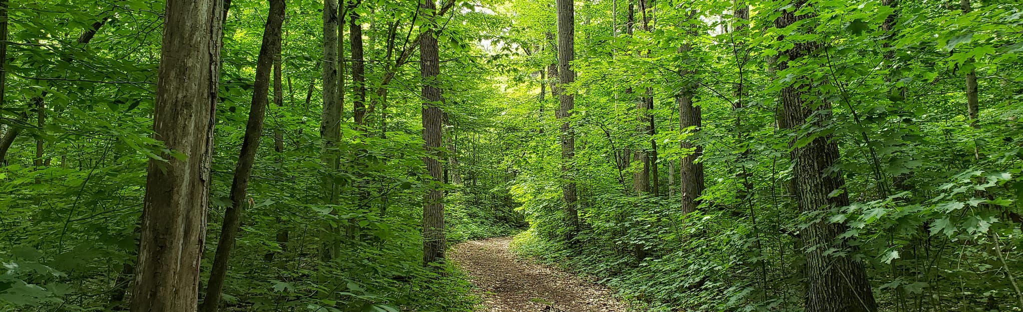 Champlain Road to Wendat Trail 26 Reviews, Map Ontario, Canada