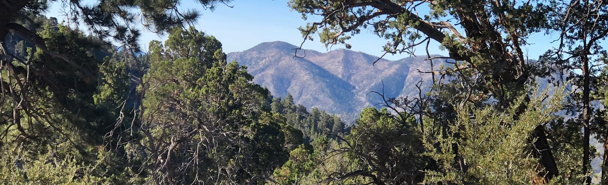 Sugarloaf National Recreation Trail 2E18 | Mapa, Roteiro - California