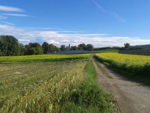 Bodensee - Überlingen - Birnau - Lippertsreute