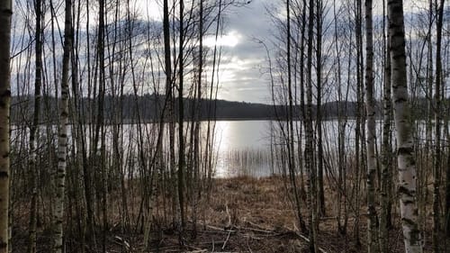 Peetzig - Uckermark durch den Görlsdofer Forst