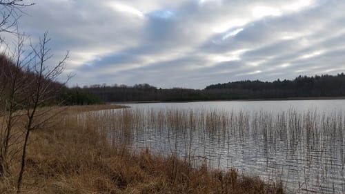Peetzig - Uckermark durch den Görlsdofer Forst