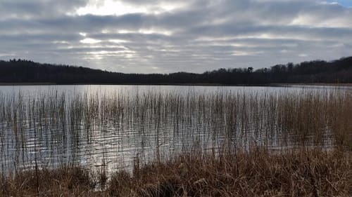 Peetzig - Uckermark durch den Görlsdofer Forst
