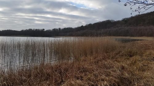 Peetzig - Uckermark durch den Görlsdofer Forst