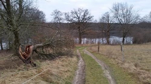 Peetzig - Uckermark durch den Görlsdofer Forst