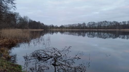 Peetzig - Uckermark durch den Görlsdofer Forst