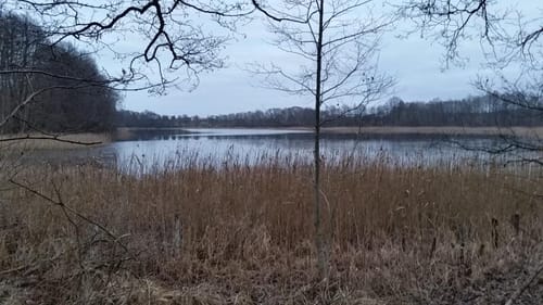 Peetzig - Uckermark durch den Görlsdofer Forst