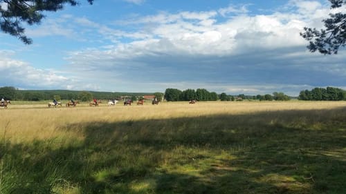 Auf dem Burgenwanderweg: Hoher Fläming - Dippmannsdorf