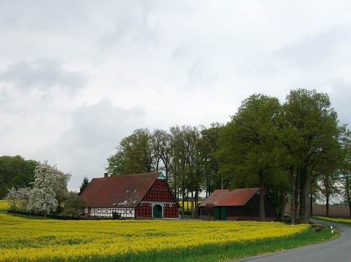 Venne: Mühleninsel - Eisenzeithaus - Steinkreis