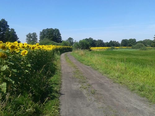 Netzen Große Seen Runde