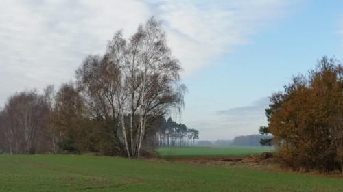 Naturpark Rundwanderweg Tour Nr. 12