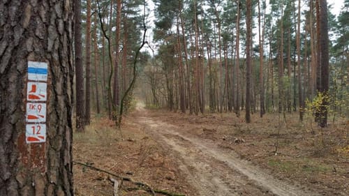 Naturpark Rundwanderweg Tour Nr. 12