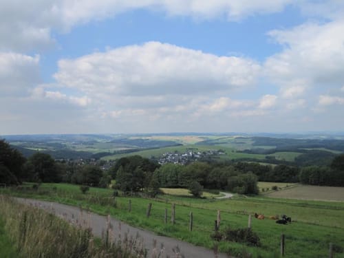 Bodenbachtal zum Michelsberg retour via Mahlberg und Schussbachtal