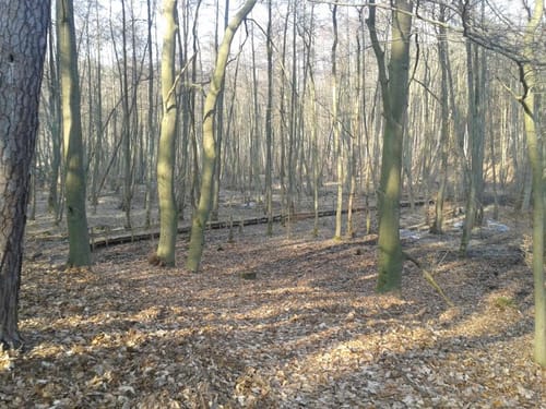 Kirchmöser - Möserscher See - Silberquelle