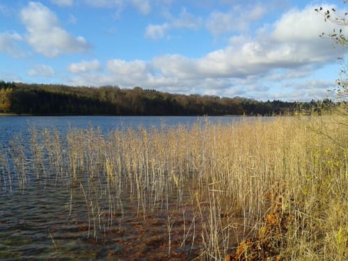 Neuglobsow - Steinförde Seenrundweg