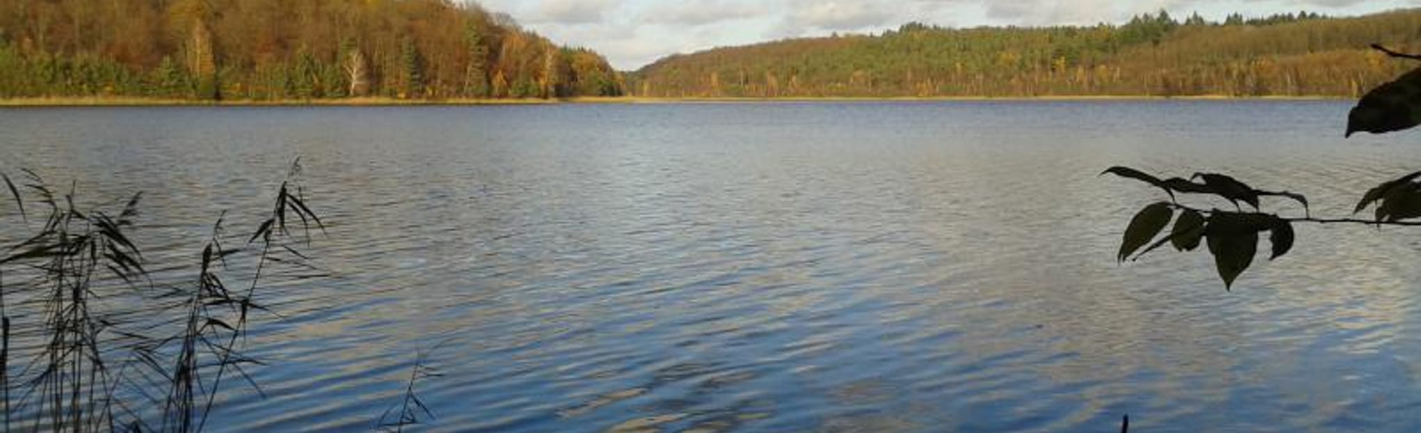 Peetschsee Loop, Brandenburg, Germany 5 Reviews, Map AllTrails