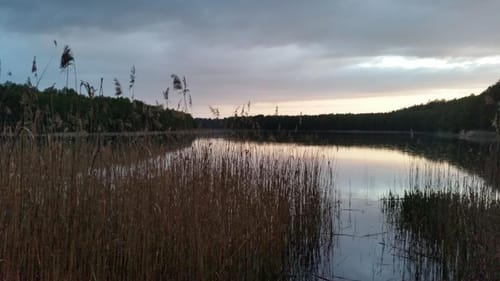 Langhagensee und Paschensee