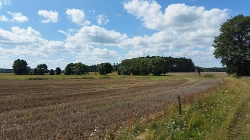 Auf dem Burgenwanderweg: Bei Groß Briessen