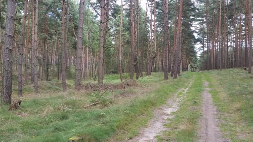 Auf dem Burgenwanderweg: Bei Groß Briessen