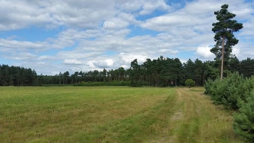 Auf dem Burgenwanderweg: Bei Groß Briessen