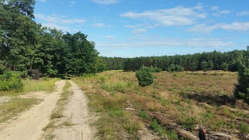 Auf dem Burgenwanderweg: Bei Groß Briessen