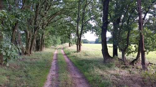 Auf dem Burgenwanderweg: Bei Groß Briessen