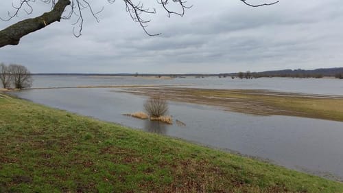 Rundweg bei Criewen