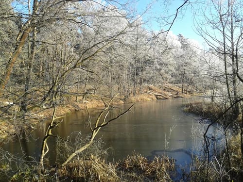 Alt Schadow, Spree, Grubensee und Godnasee Rundwandertour