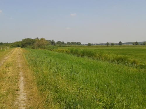 Von Deetz rund um Trebelsee, Betzsee und Havel