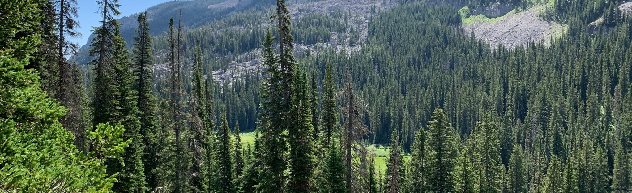 Granite Canyon and Open Canyon Loop 25 Reviews, Map Wyoming AllTrails