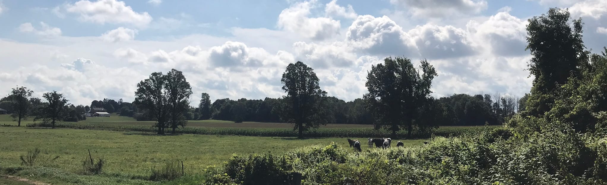 Hickson Trail 66 Photos Ontario, Canada Randonnée AllTrails