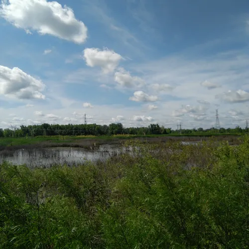 Best 10 Hiking Trails in Quanicassee State Wildlife Area AllTrails