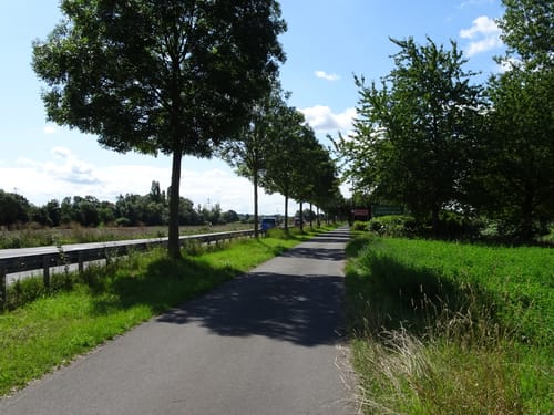 Guntersblum - St. Ilgen - Rheinterrassenroute - Rhein Radweg