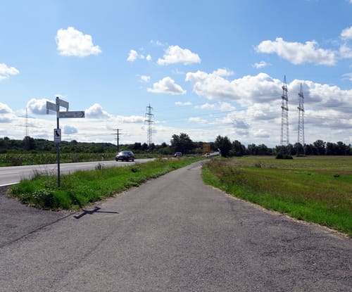 Guntersblum - St. Ilgen - Rheinterrassenroute - Rhein Radweg