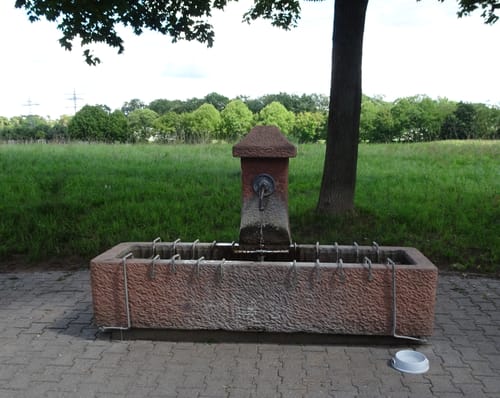 Guntersblum - St. Ilgen - Rheinterrassenroute - Rhein Radweg