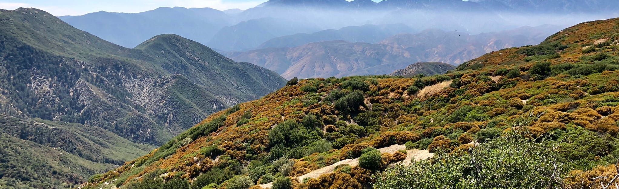 Cleghorn Ridge OHV Road I15 to Highway 138 at Silverwood Lake 950