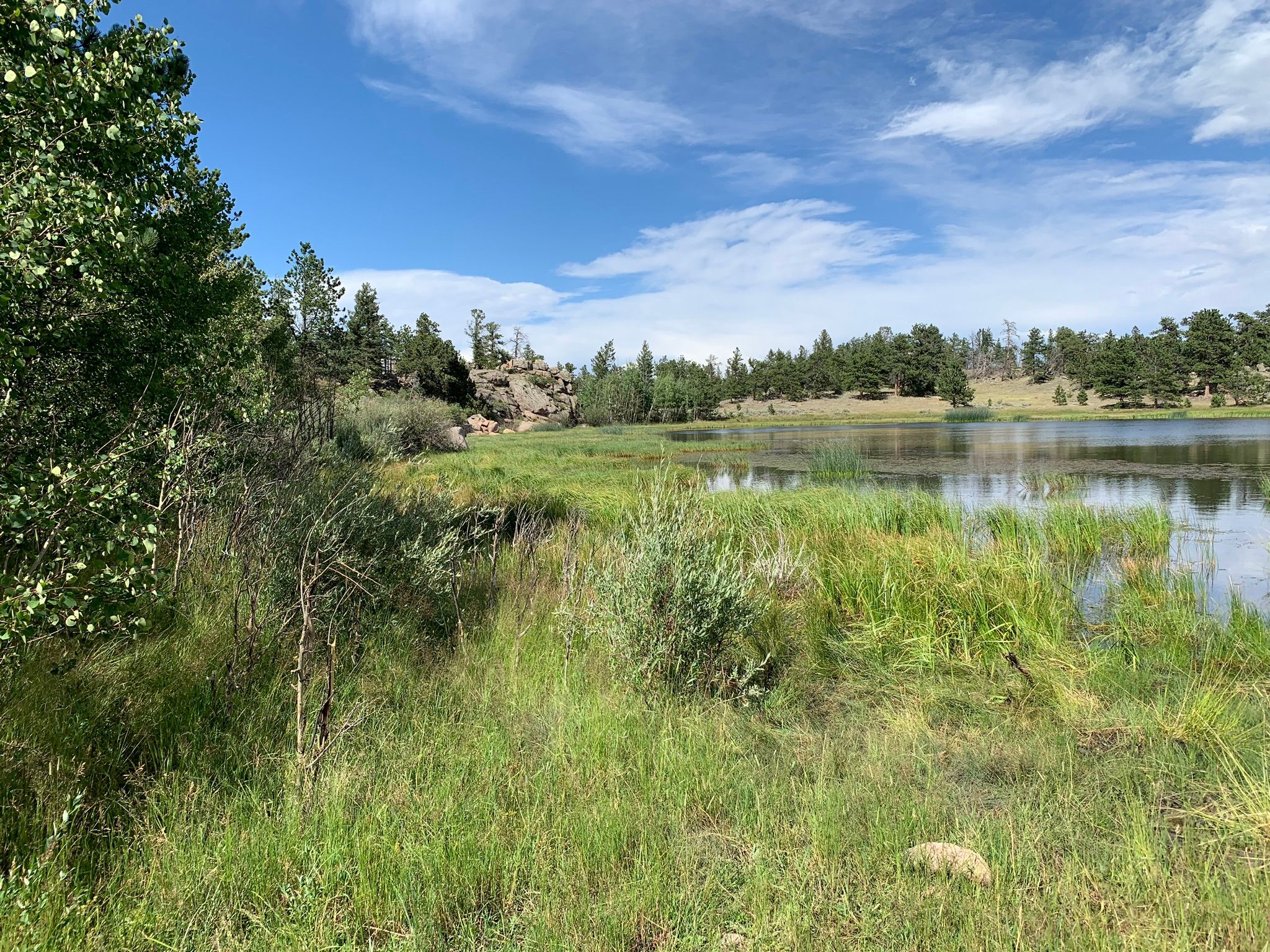 Photos of Molly Moon Trail to Molly Lake - Colorado | AllTrails