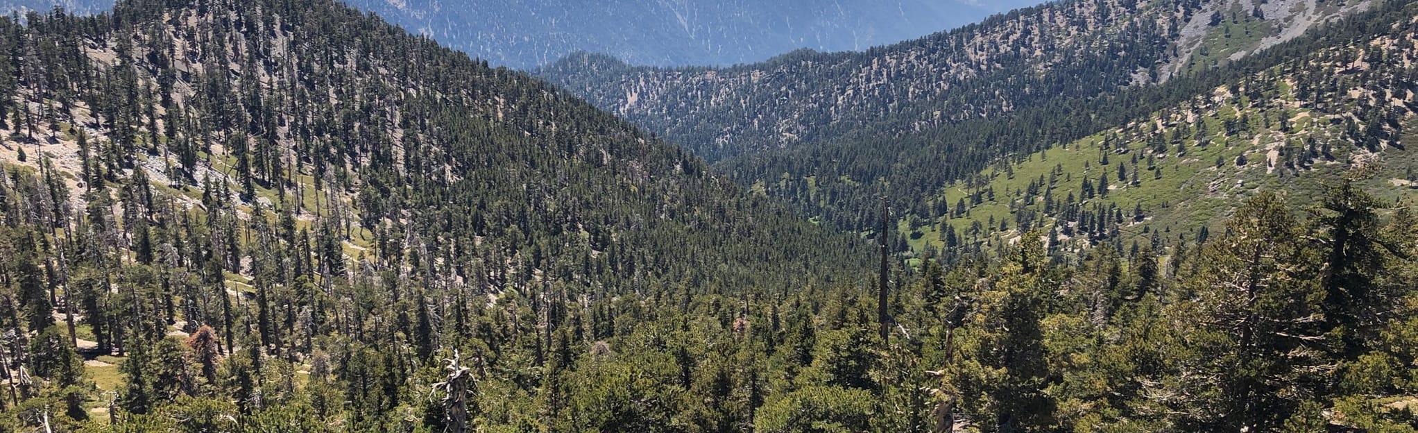 Alto Diablo via South Fork Trail 15 Reviews, Map California AllTrails