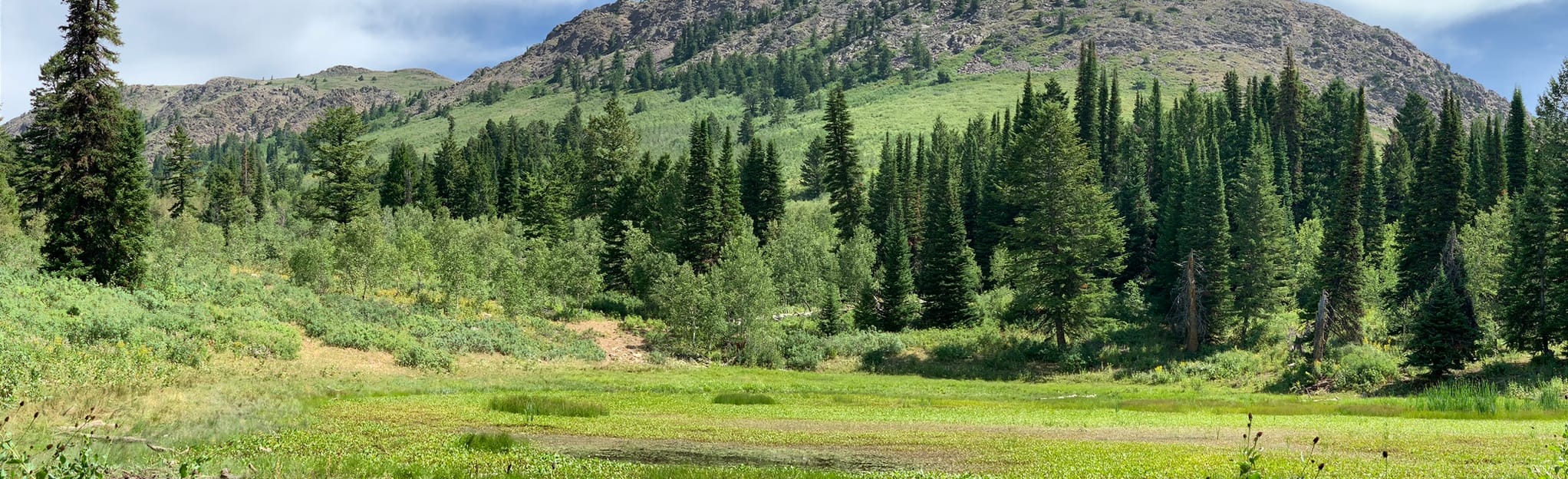 Scout Mountain and East Fork of Mink Creek, Idaho 155 Reviews, Map