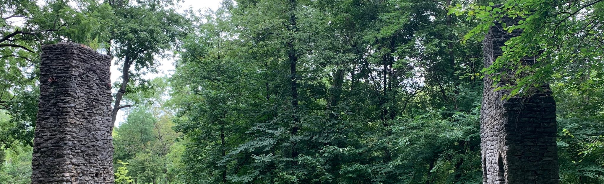 Grant Park Brown Trail 366 Reviews, Map Ohio AllTrails