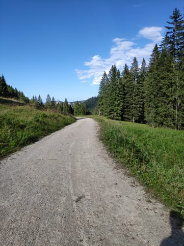 Ostlerhütte und Reichenbachklamm